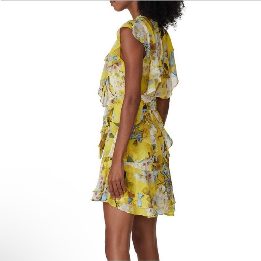 Marissa Webb Collective Ruffle Floral Mini Dress sz4 - Picture 3 of 8